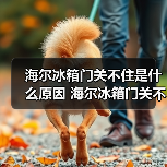 海尔冰箱门关不住是什么原因 海尔冰箱门关不住的原因及解决方法【详解】(图2) 海尔冰箱门关不住是什么原因 海尔冰箱门关不住的原因及解决方法【详解】(图2)