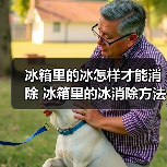 冰箱里的冰怎样才能消除 冰箱里的冰消除方法【详解】(图2) 冰箱里的冰怎样才能消除 冰箱里的冰消除方法【详解】(图2)