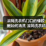 滚筒洗衣机门口的橡胶圈如何清洗 滚筒洗衣机门口的橡胶圈清洗方法【详解】(图2) 滚筒洗衣机门口的橡胶圈如何清洗 滚筒洗衣机门口的橡胶圈清洗方法【详解】(图2)
