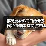 滚筒洗衣机门口的橡胶圈如何清洗 滚筒洗衣机门口的橡胶圈清洗方法【详解】(图3) 滚筒洗衣机门口的橡胶圈如何清洗 滚筒洗衣机门口的橡胶圈清洗方法【详解】(图3)