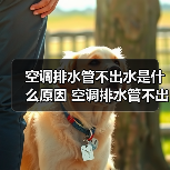 空调排水管不出水是什么原因 空调排水管不出水原因分析【详解】（图1）
