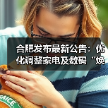 合肥发布最新公告：优化调整家电及数码“焕新”补贴政策！（图2）