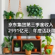 京东集团第三季度收入2991亿元，年度活跃用户破7亿（图4）