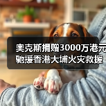 奥克斯捐赠3000万港元驰援香港大埔火灾救援（图1）