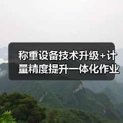 称重设备技术升级+计量精度提升一体化作业，稳步推进！2026年实战指南（图3）