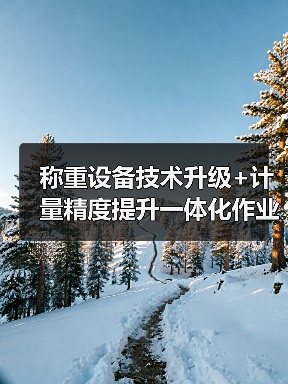 称重设备技术升级+计量精度提升一体化作业，稳步推进！2026年实战指南（图1）