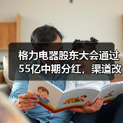 格力电器股东大会通过55亿中期分红,渠道改革与出海成焦点(图3) 格力电器股东大会通过55亿中期分红,渠道改革与出海成焦点(图3)