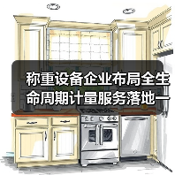 称重设备企业布局全生命周期计量服务落地一体化作业,5年实战总结(图2) 称重设备企业布局全生命周期计量服务落地一体化作业,5年实战总结(图2)