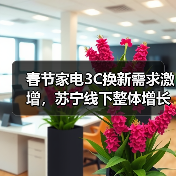 春节家电3C换新需求激增,苏宁线下整体增长超40%(图3) 春节家电3C换新需求激增,苏宁线下整体增长超40%(图3)