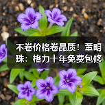 不卷价格卷品质!董明珠:格力十年免费包修 原则上产品10年不能坏(图2) 不卷价格卷品质!董明珠:格力十年免费包修 原则上产品10年不能坏(图2)