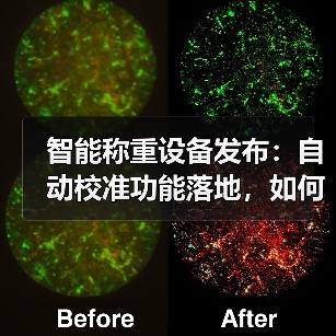 智能称重设备发布：自动校准功能落地，如何让一体化作业高效办结？（图3）