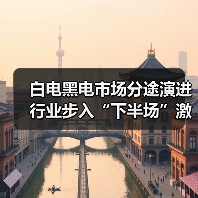 白电黑电市场分途演进 行业步入“下半场”激战(图3) 白电黑电市场分途演进 行业步入“下半场”激战(图3)