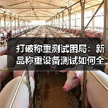 打破称重测试困局:新品称重设备测试如何全场景计量适配验证一体化作业同步开展?(图2) 打破称重测试困局:新品称重设备测试如何全场景计量适配验证一体化作业同步开展?(图2)