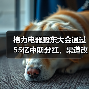 格力电器股东大会通过55亿中期分红,渠道改革与出海成焦点(图4) 格力电器股东大会通过55亿中期分红,渠道改革与出海成焦点(图4)