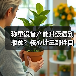 称重设备产能升级遇到瓶颈？核心计量部件自研一体化作业，3个月落地见效（图4）
