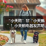 “小天鸥”非“小天鹅”!小天鹅电器发声明打假,将追责到底(图1) “小天鸥”非“小天鹅”!小天鹅电器发声明打假,将追责到底(图1)