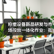 称重设备新品研发与市场投放一体化作业：我们踩过的坑与蹚出的路（图2）