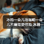 冰箱一会儿嗡嗡响一会儿不响需要修吗 冰箱一会儿嗡嗡响的原因及处理方法【详解】(图1) 冰箱一会儿嗡嗡响一会儿不响需要修吗 冰箱一会儿嗡嗡响的原因及处理方法【详解】(图1)