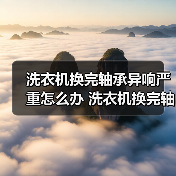 洗衣机换完轴承异响严重怎么办 洗衣机换完轴承异响严重解决方法【详解】（图4）