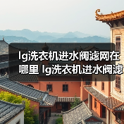 lg洗衣机进水阀滤网在哪里 lg洗衣机进水阀滤网安装位置及清洁方法【详解】（图2）