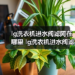 lg洗衣机进水阀滤网在哪里 lg洗衣机进水阀滤网安装位置及清洁方法【详解】（图1）