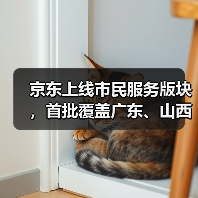 京东上线市民服务版块，首批覆盖广东、山西等多省市（图4）