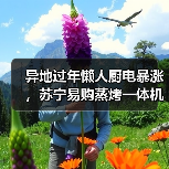 异地过年懒人厨电暴涨,苏宁易购蒸烤一体机增长超100%(图4) 异地过年懒人厨电暴涨,苏宁易购蒸烤一体机增长超100%(图4)