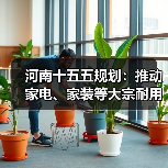 河南十五五规划：推动家电、家装等大宗耐用消费品绿色化智能化升级（图2）