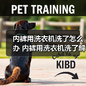 内裤用洗衣机洗了怎么办 内裤用洗衣机洗了解决方法【详解】(图1) 内裤用洗衣机洗了怎么办 内裤用洗衣机洗了解决方法【详解】(图1)