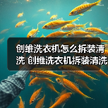 创维洗衣机怎么拆装清洗 创维洗衣机拆装清洗方法【详解】(图4) 创维洗衣机怎么拆装清洗 创维洗衣机拆装清洗方法【详解】(图4)