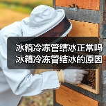 冰箱冷冻管结冰正常吗 冰箱冷冻管结冰的原因【详解】(图4) 冰箱冷冻管结冰正常吗 冰箱冷冻管结冰的原因【详解】(图4)