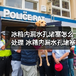 冰箱内漏水孔堵塞怎么处理 冰箱内漏水孔堵塞解决方法【详解】(图3) 冰箱内漏水孔堵塞怎么处理 冰箱内漏水孔堵塞解决方法【详解】(图3)