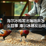 海尔冰箱发出嗡嗡声怎么回事 海尔冰箱发出嗡嗡声的原因及解决方法【详解】(图3) 海尔冰箱发出嗡嗡声怎么回事 海尔冰箱发出嗡嗡声的原因及解决方法【详解】(图3)