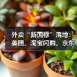 外卖“新国标”落地:美团、淘宝闪购、京东停战?(图1) 外卖“新国标”落地:美团、淘宝闪购、京东停战?(图1)