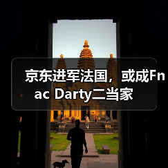 京东进军法国,或成Fnac Darty二当家(图2) 京东进军法国,或成Fnac Darty二当家(图2)