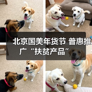北京国美年货节 普惠推广“扶贫产品”(图2) 北京国美年货节 普惠推广“扶贫产品”(图2)