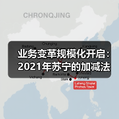 业务变革规模化开启:2021年苏宁的加减法(图3) 业务变革规模化开启:2021年苏宁的加减法(图3)