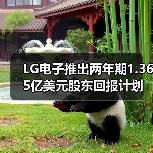 LG电子推出两年期1.365亿美元股东回报计划(图3) LG电子推出两年期1.365亿美元股东回报计划(图3)