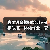 称重设备操作培训+考核认证一体化作业，高效办结指南：我踩过的坑和填平的路（图4）