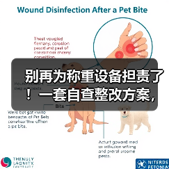 别再为称重设备担责了！一套自查整改方案，让主体责任真正落地（图3）