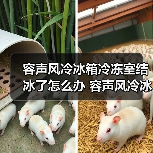 容声风冷冰箱冷冻室结冰了怎么办 容声风冷冰箱冷冻室结冰了如何清洗和维护【详解】(图3) 容声风冷冰箱冷冻室结冰了怎么办 容声风冷冰箱冷冻室结冰了如何清洗和维护【详解】(图3)