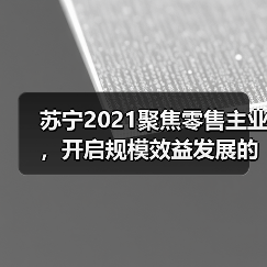 苏宁2021聚焦零售主业,开启规模效益发展的新起点(图3) 苏宁2021聚焦零售主业,开启规模效益发展的新起点(图3)