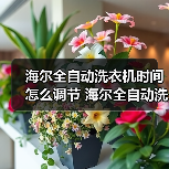 海尔全自动洗衣机时间怎么调节 海尔全自动洗衣机时间调节方法【详解】(图2) 海尔全自动洗衣机时间怎么调节 海尔全自动洗衣机时间调节方法【详解】(图2)
