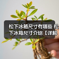 松下冰箱尺寸有哪些 松下冰箱尺寸介绍【详解】(图4) 松下冰箱尺寸有哪些 松下冰箱尺寸介绍【详解】(图4)