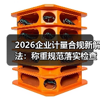 2026企业计量合规新解法:称重规范落实检查与督导一体化如何稳步推进?(图2) 2026企业计量合规新解法:称重规范落实检查与督导一体化如何稳步推进?(图2)