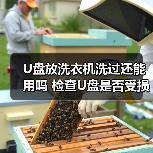 U盘放洗衣机洗过还能用吗 检查U盘是否受损方法【详解】(图4) U盘放洗衣机洗过还能用吗 检查U盘是否受损方法【详解】(图4)