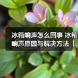 冰箱响声怎么回事 冰箱响声原因与解决方法【详解】(图2) 冰箱响声怎么回事 冰箱响声原因与解决方法【详解】(图2)