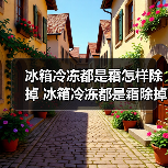 冰箱冷冻都是霜怎样除掉 冰箱冷冻都是霜除掉方法【详解】(图2) 冰箱冷冻都是霜怎样除掉 冰箱冷冻都是霜除掉方法【详解】(图2)