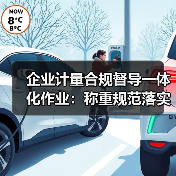 企业计量合规督导一体化作业:称重规范落实检查如何稳步推进?(图2) 企业计量合规督导一体化作业:称重规范落实检查如何稳步推进?(图2)