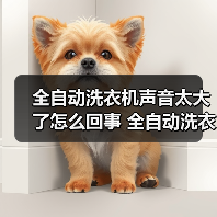 全自动洗衣机声音太大了怎么回事 全自动洗衣机声音太大了原因及解决方法【详解】（图4）